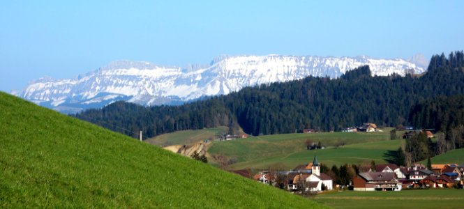 DSC00796 