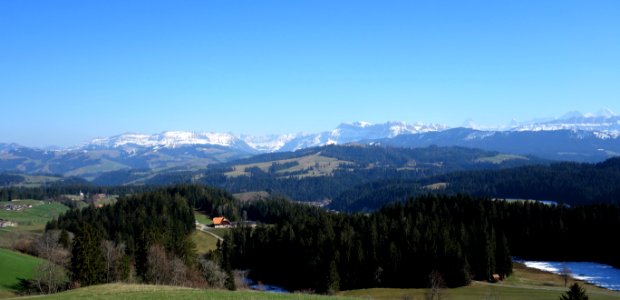 DSC00792 