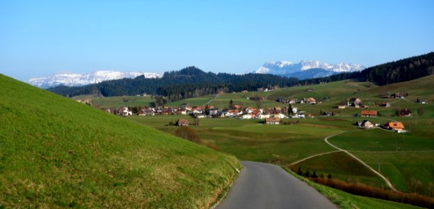 DSC00794 