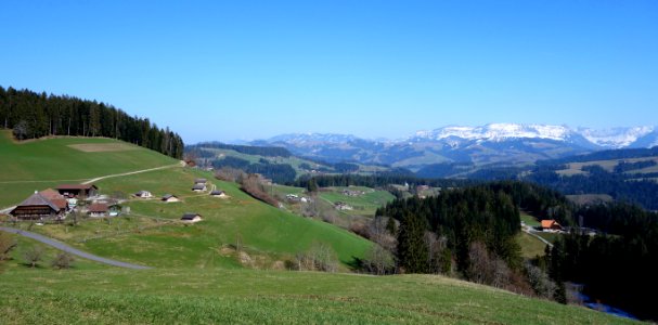 DSC00791 