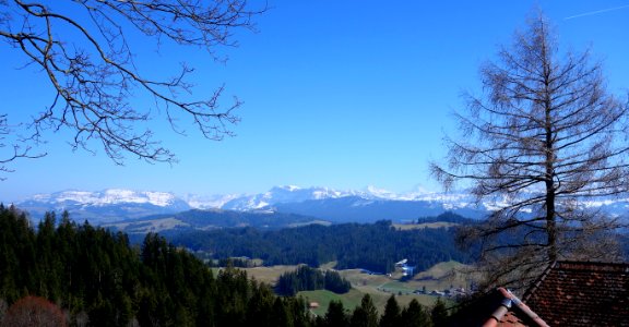 DSC00787 