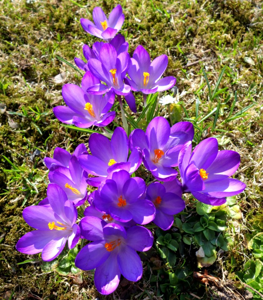 DSC00755 