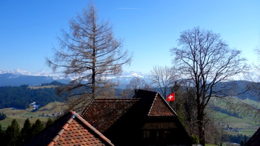 DSC00786 