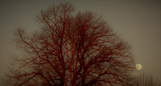 DSC00483 