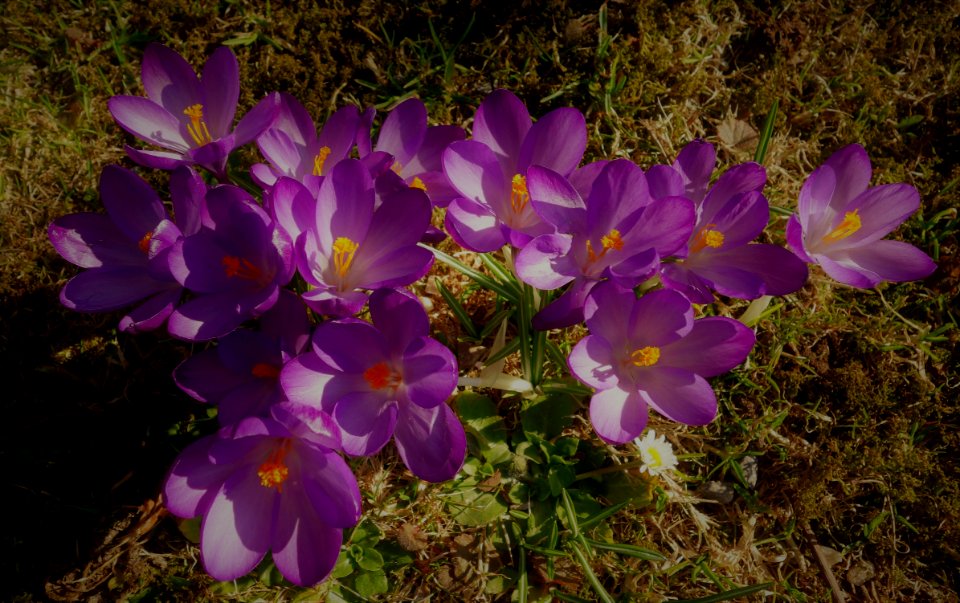 DSC00750 