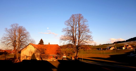 DSC00582 