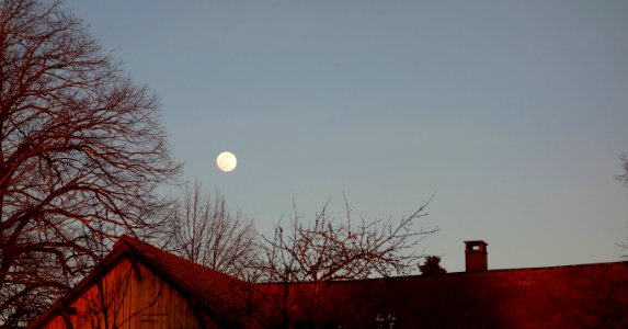 DSC00482 