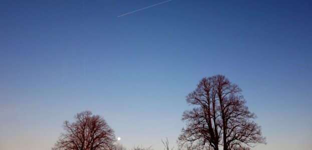 DSC00484 