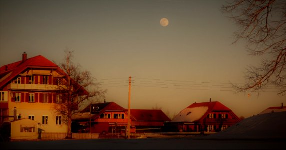 DSC00479 