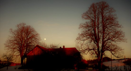DSC00481 