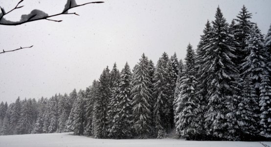 DSC00320 