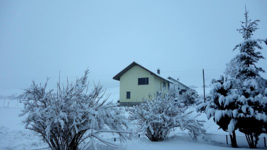 DSC00314 