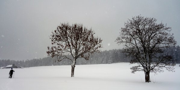 DSC00315 