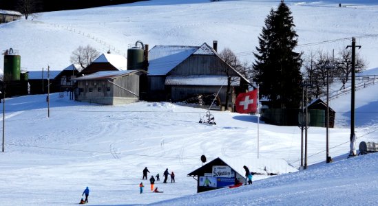 DSC00278 