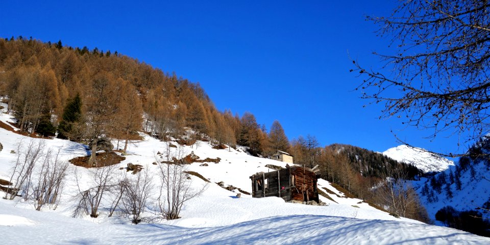 DSC04833 