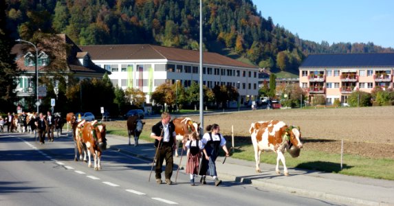 DSC04506 
