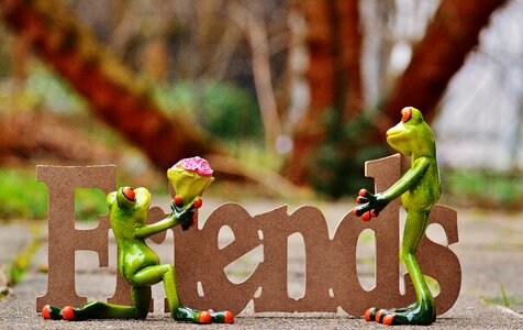 Frog sweet cute