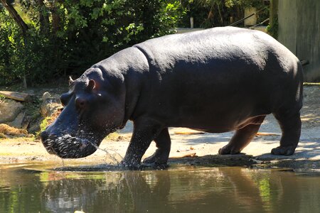 Zoo african natural