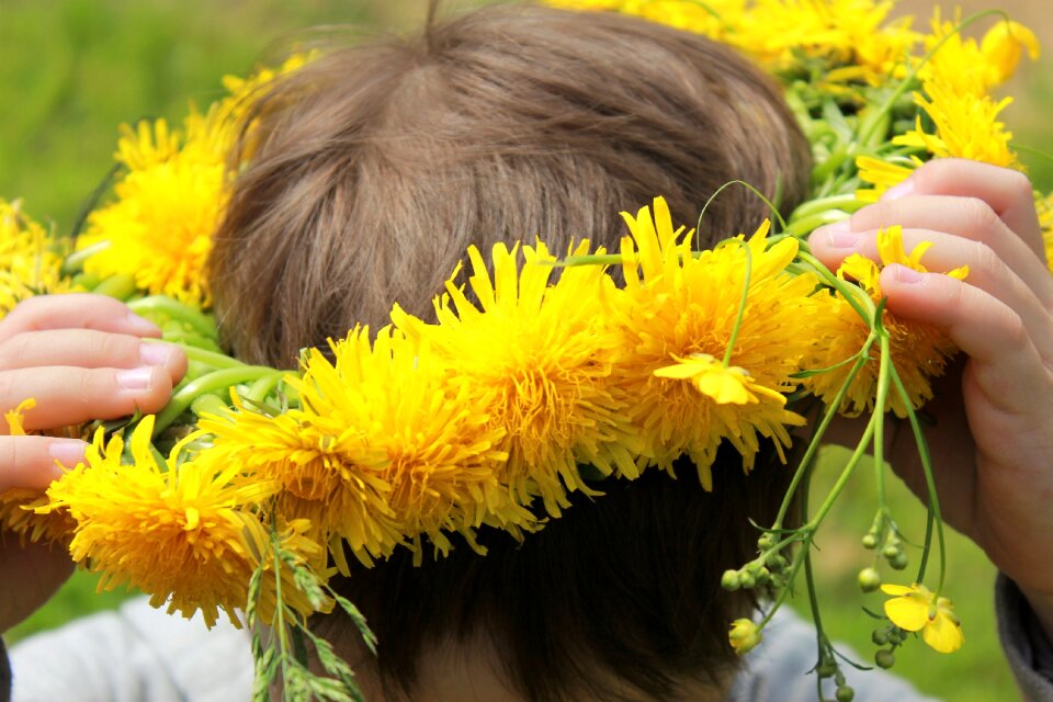 Yellow flowers baby yellow