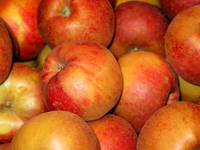 Bearing apple baked apple sale