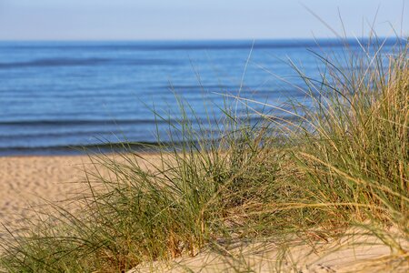 Dune water baabe
