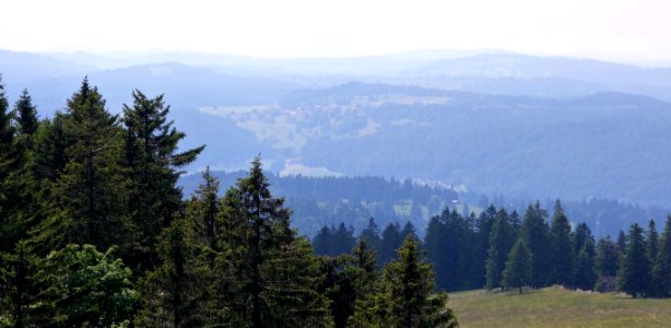 DSC01751 