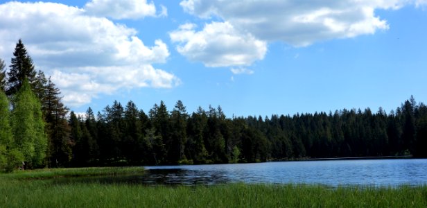 DSC01597 