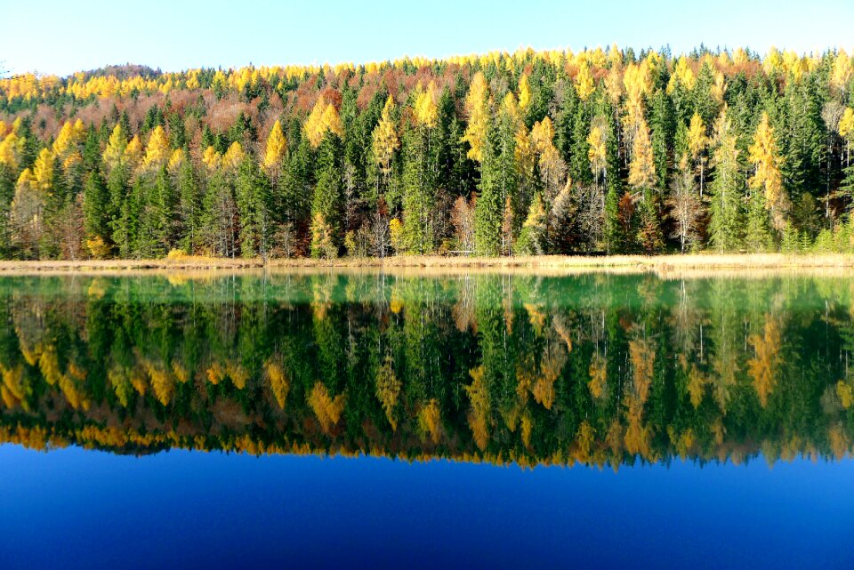 Water reflection autumn colours nature