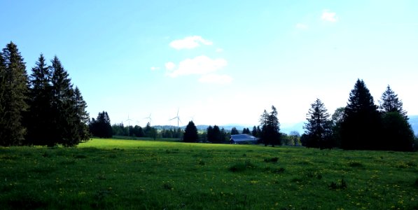 DSC01583 