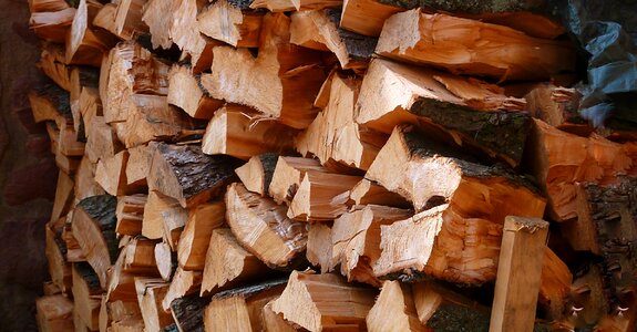 Growing stock log stacked up
