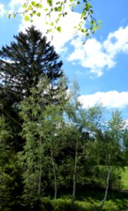 DSC01508 