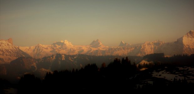 DSC00979 