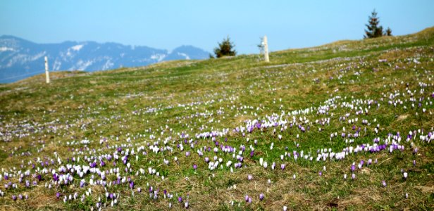 DSC00941 