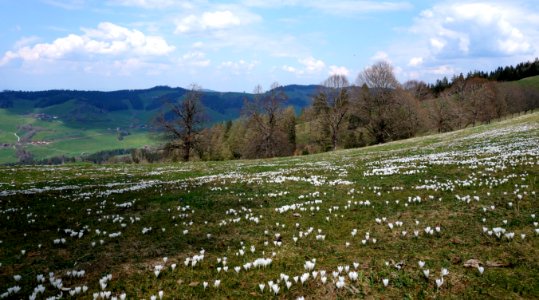 DSC01009 