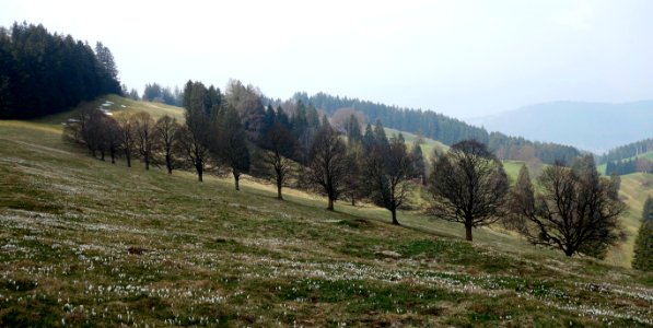 DSC00919 