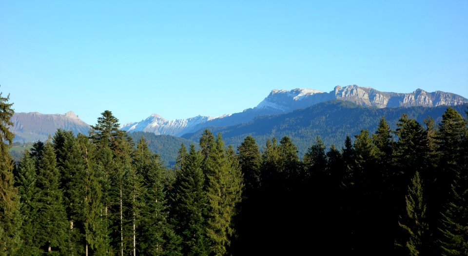 DSC04445 