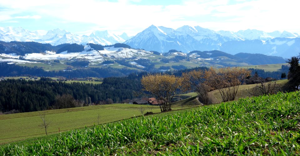 DSC00570 