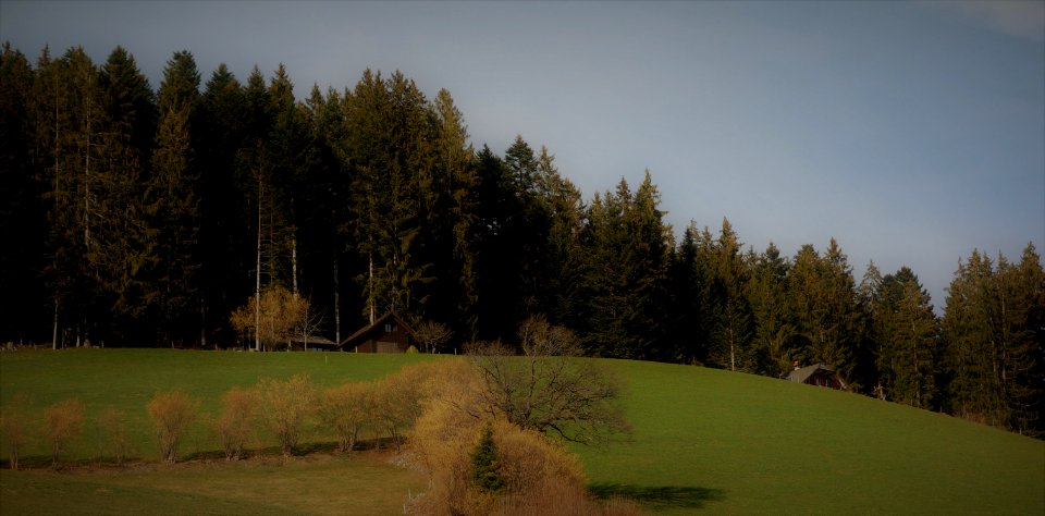 DSC00565 
