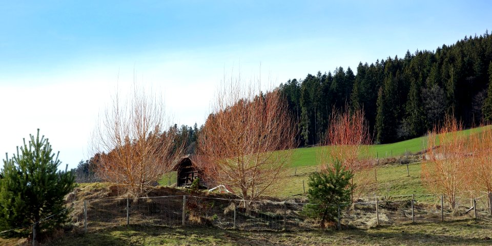 DSC00564 