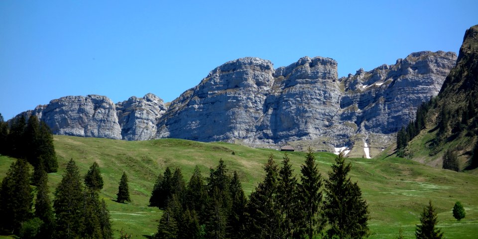DSC01675 