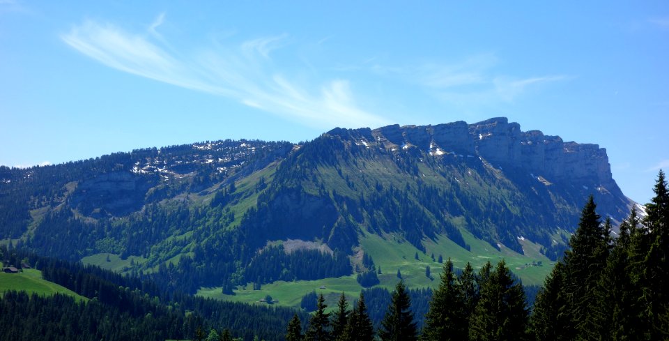 DSC01661 