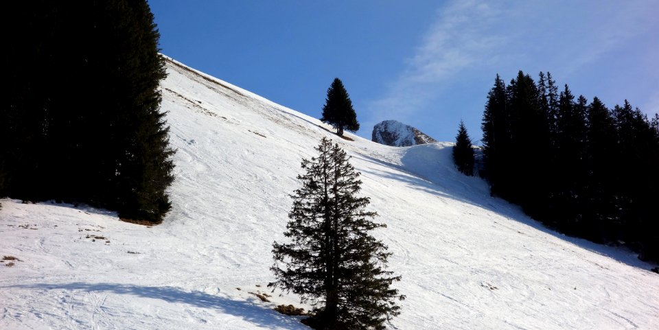 DSC00516 