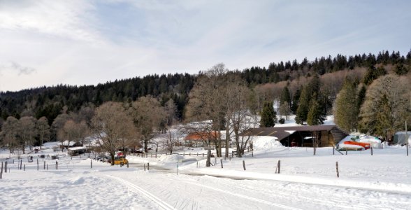 DSC00370 