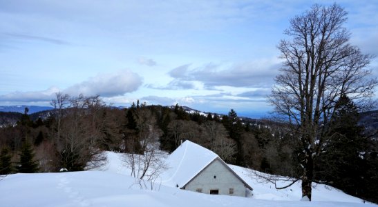DSC00356 