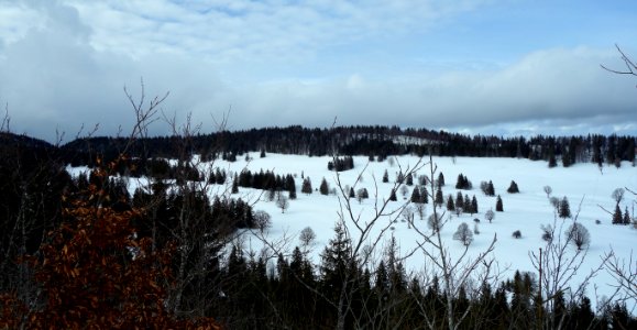 DSC00352 