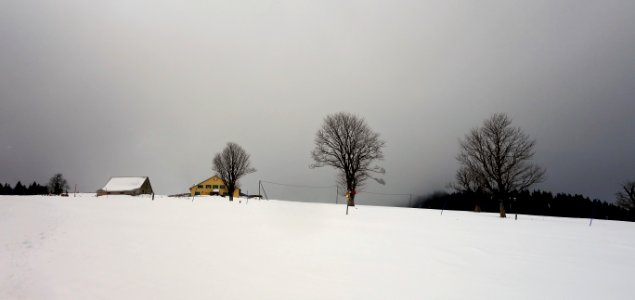 DSC00346 