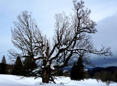DSC00349 