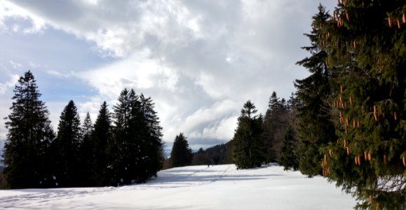 DSC00341 