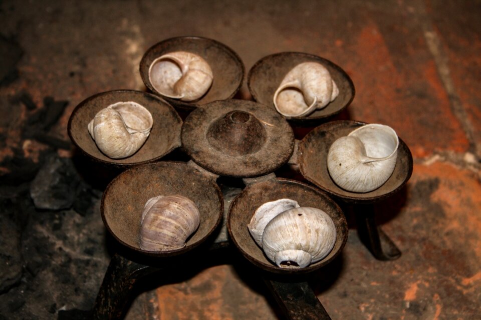 Etanapannu history discovery
