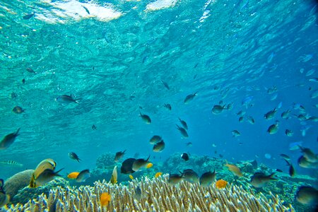 Tropical widi islands halmahera